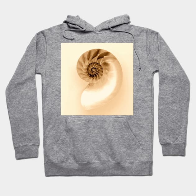 SEASHELL Hoodie by MAYRAREINART